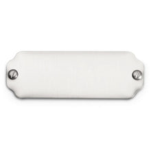 Load image into Gallery viewer, Nickel Plate with False Screws 2 1/2" x 7/8"