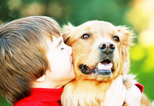 Load image into Gallery viewer, Crystal 3d rectangle photo cube gift | Buy Online in Canada