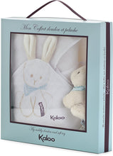 Load image into Gallery viewer, Praline Rabbit Receiving Cuddle Blanket and stuffie - set of 2 Personalized