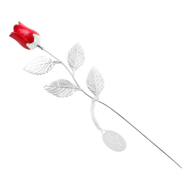 Personalised silver 2025 plated rose